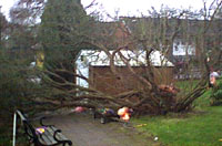 Storm-050108